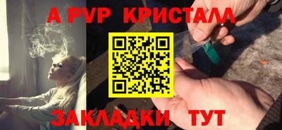стаф Камышлов