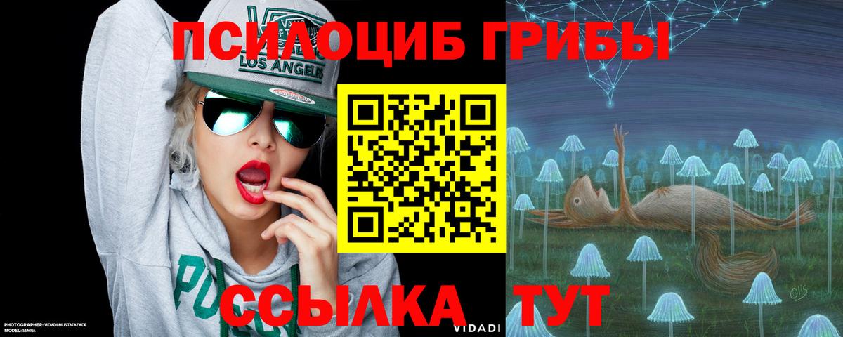 Городец  Псилоцибиновые грибы GOLDEN TEACHER  Псилоцибиновые грибы Magic Shrooms  Вход с VPN 